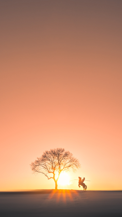 开云体育在线-跨界星火,佩德里在NBA总决赛之夜的高光魔幻时刻