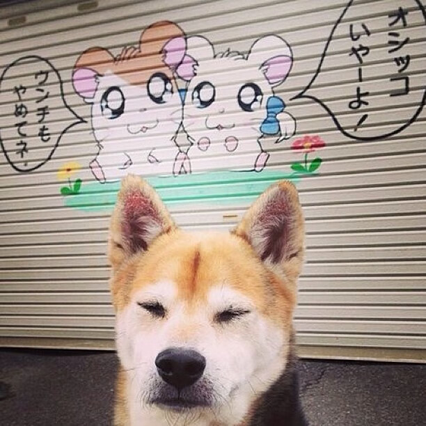 体育APP下载-极速引擎与热血篮筐，当F1揭幕战遇上广厦掀翻鹈鹕之夜