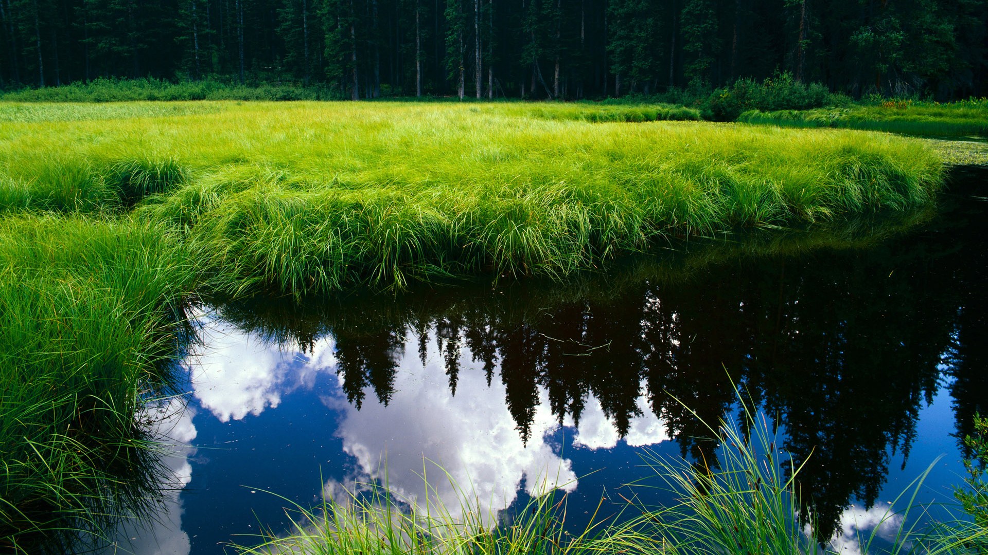 体育在线-双重意外引爆联盟，马克西的孤星闪耀与森林狼的群狼嘶吼，如何同时绞杀凯尔特人霸权？