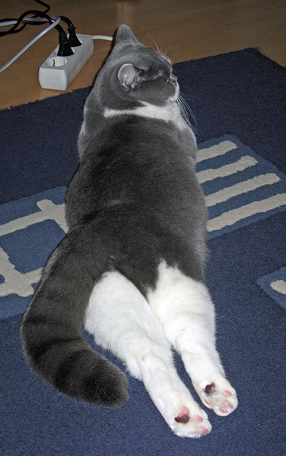 开云体育入口-钢铁巨浪与精密钟表，快船冲垮太阳，小贾伦关键进球定乾坤